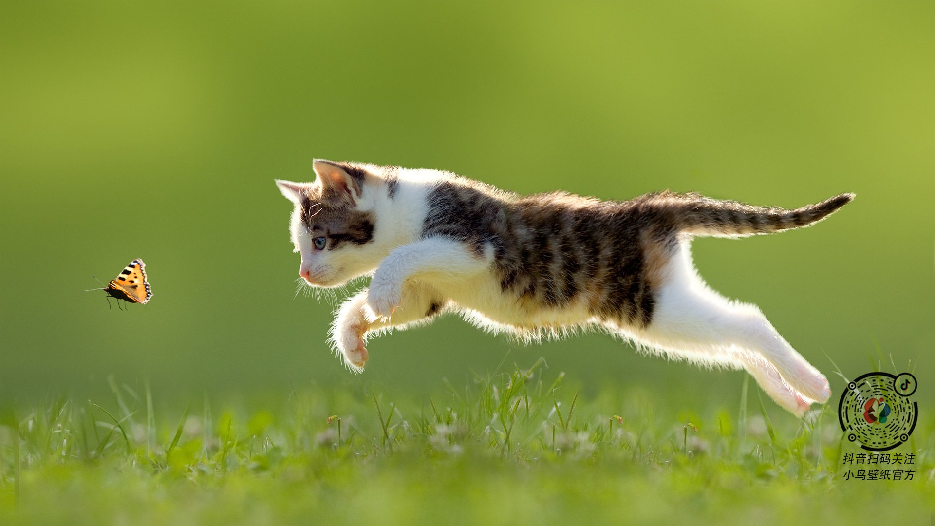 KAIYUNAPP-塞内加尔男足在巴黎奥运会比赛中以3-0战胜美国，2018塞内加尔足球队