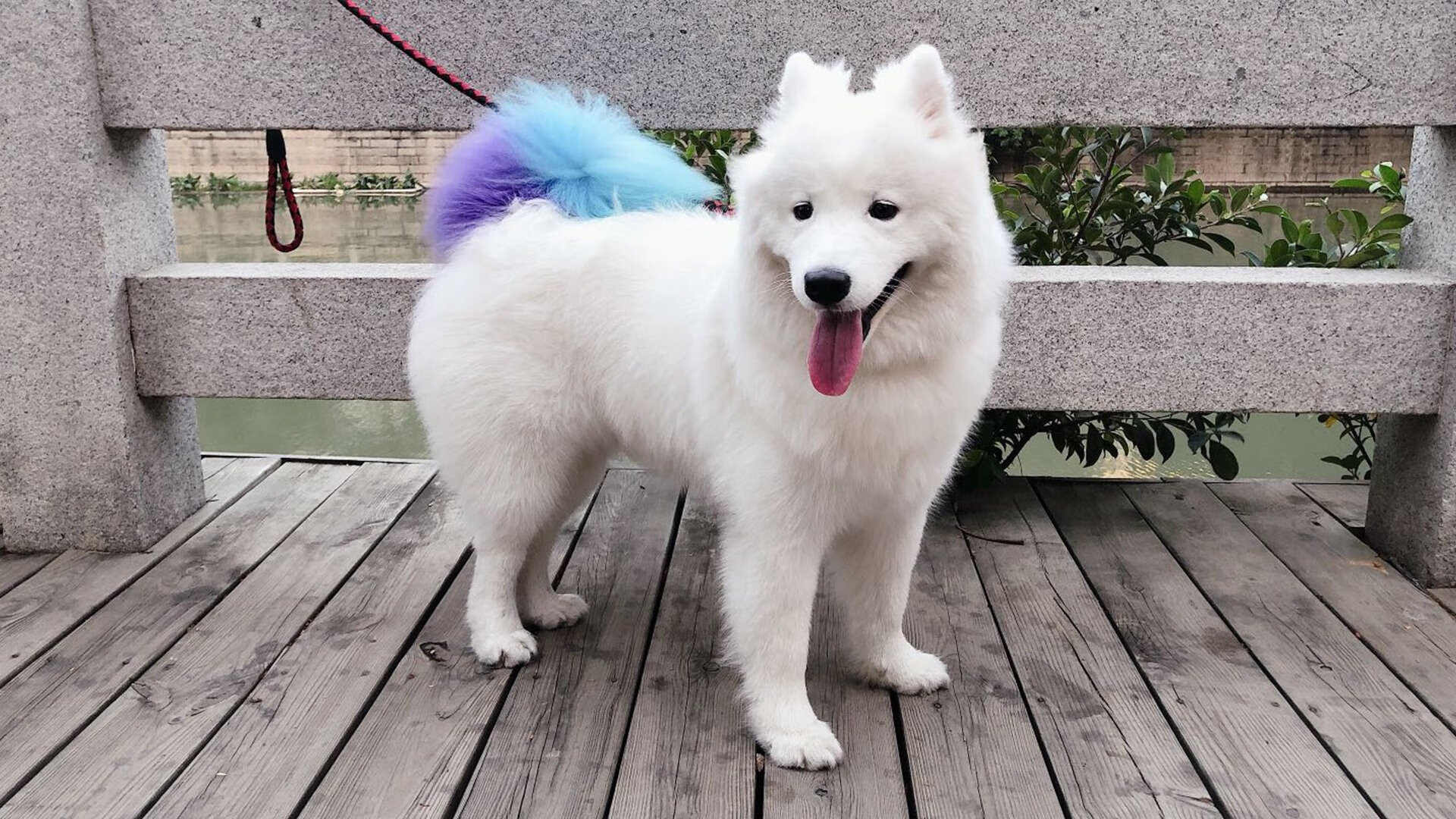 开云中国大陆-塞内加尔男足在巴黎奥运会比赛中以3-0击败几内亚，塞内加尔男足名单