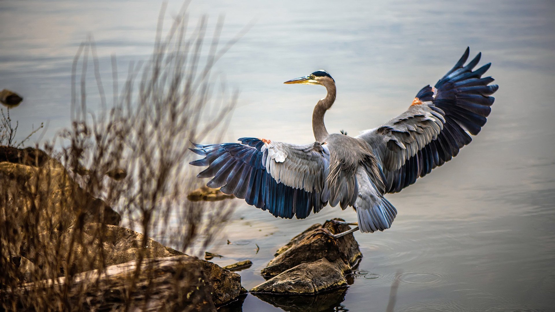 开云入口-最佳助攻：联盟中最具创造力的传球手，nba传球大师排行