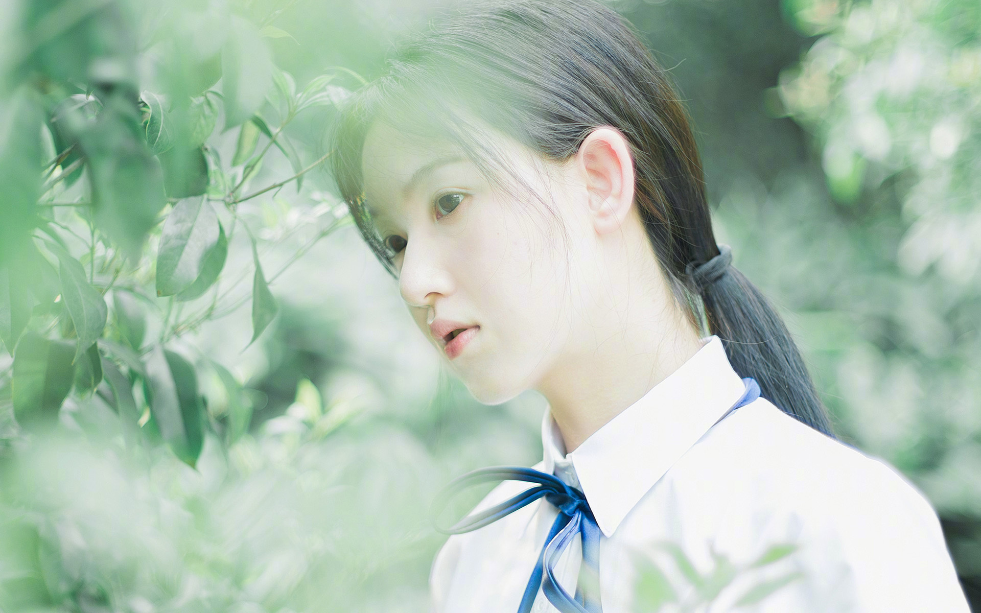 开云体育APP下载-精准悬挂：避震系统的革命性变化，避震悬挂最好的汽车品牌