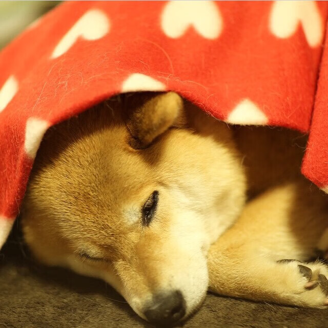 开云中国-意大利足球俱乐部推出新赛季主场球衣设计，意大利足球俱乐部推出新赛季主场球衣设计图