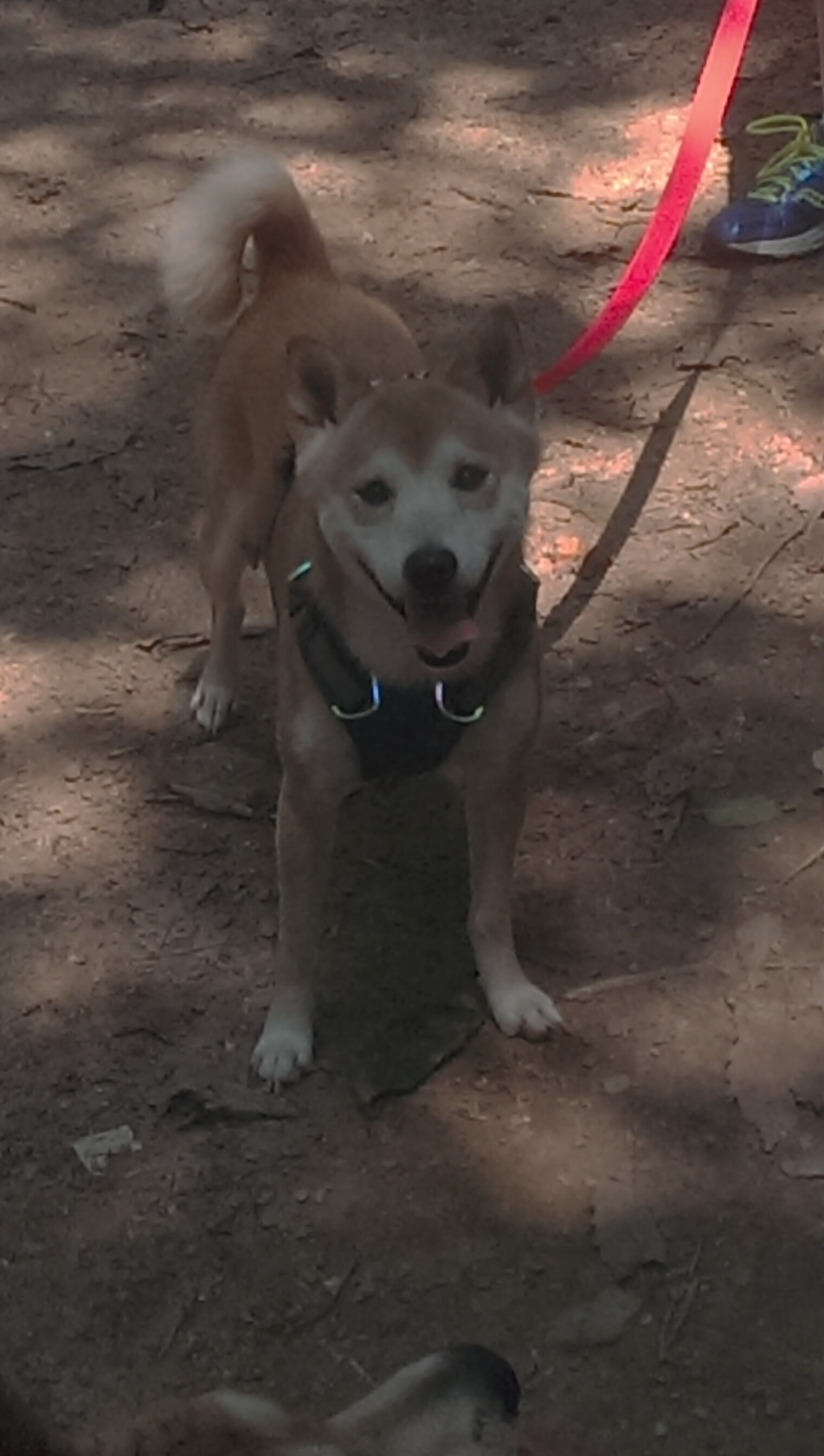 开云官方-曼斯菲尔德客场表现顽强，野马军团力争突破，曼斯菲尔德的一生