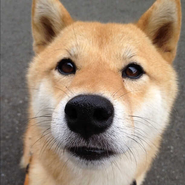 kaiyun开云·官方网站-中超各俱乐部场地适应性数据汇总，中超足球场地