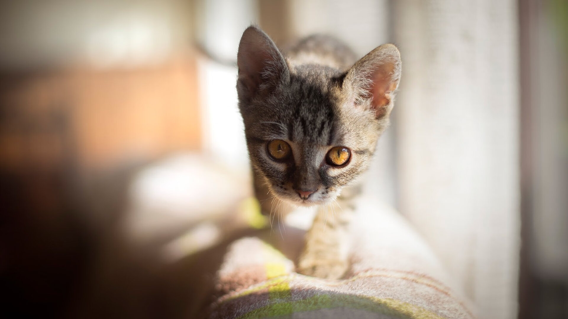 东亚杯国足战败 球迷呼吁从基础做起，2021东亚杯国足