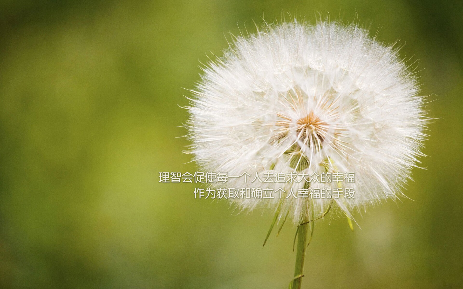 亚冠联赛中国女足逆袭 球员状态稳定发挥,中国女足本届亚运得分