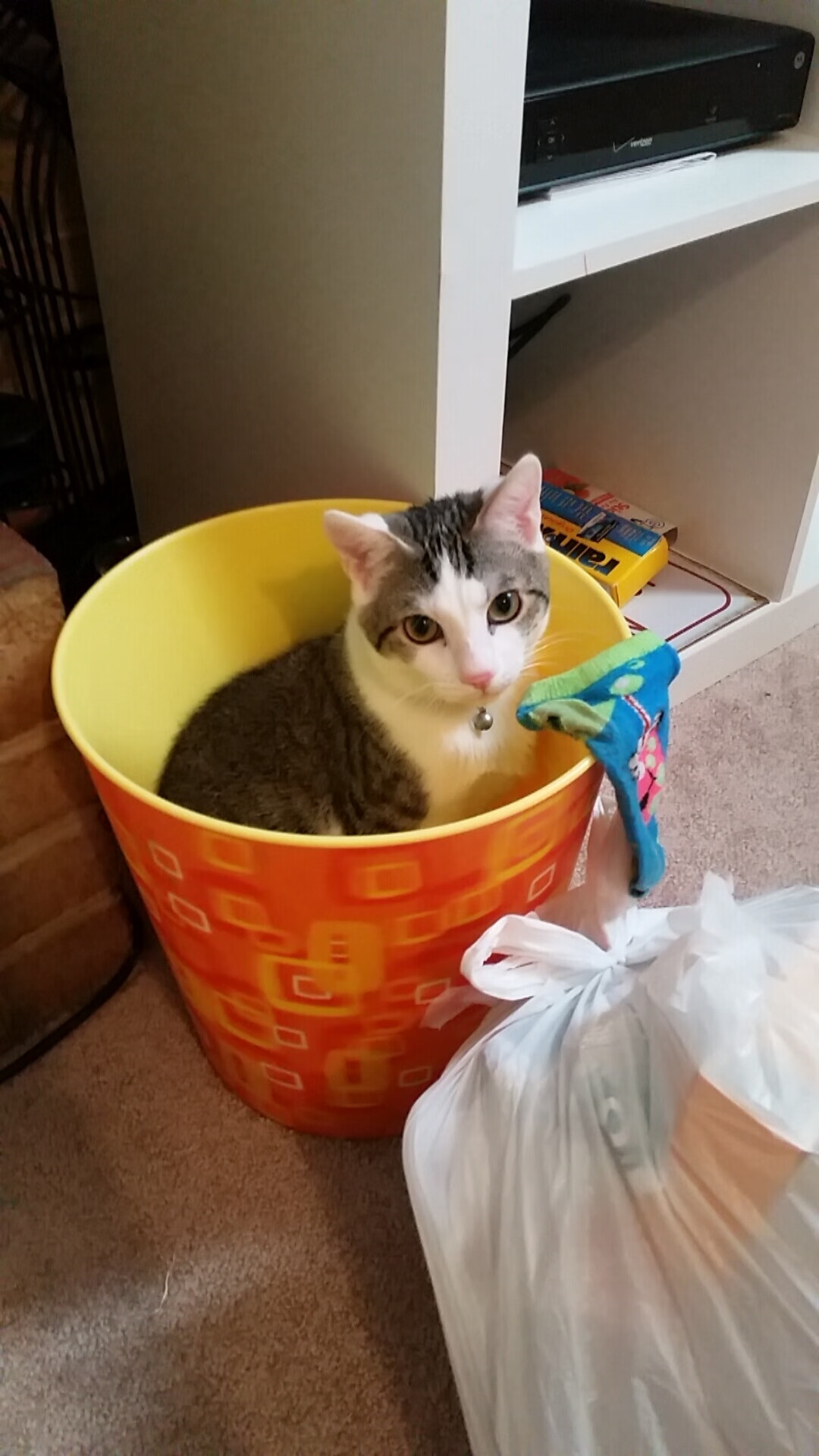 kaiyun中国官方网站-传控配合引导对方脱位，传控配合引导对方脱位怎么处理