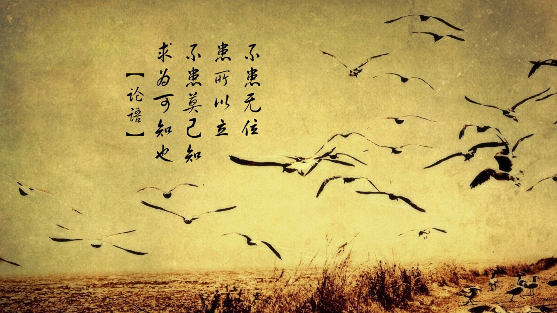 kaiyun官方网站-皇家贝蒂斯中场组织提升进攻效率，皇家贝蒂斯主帅