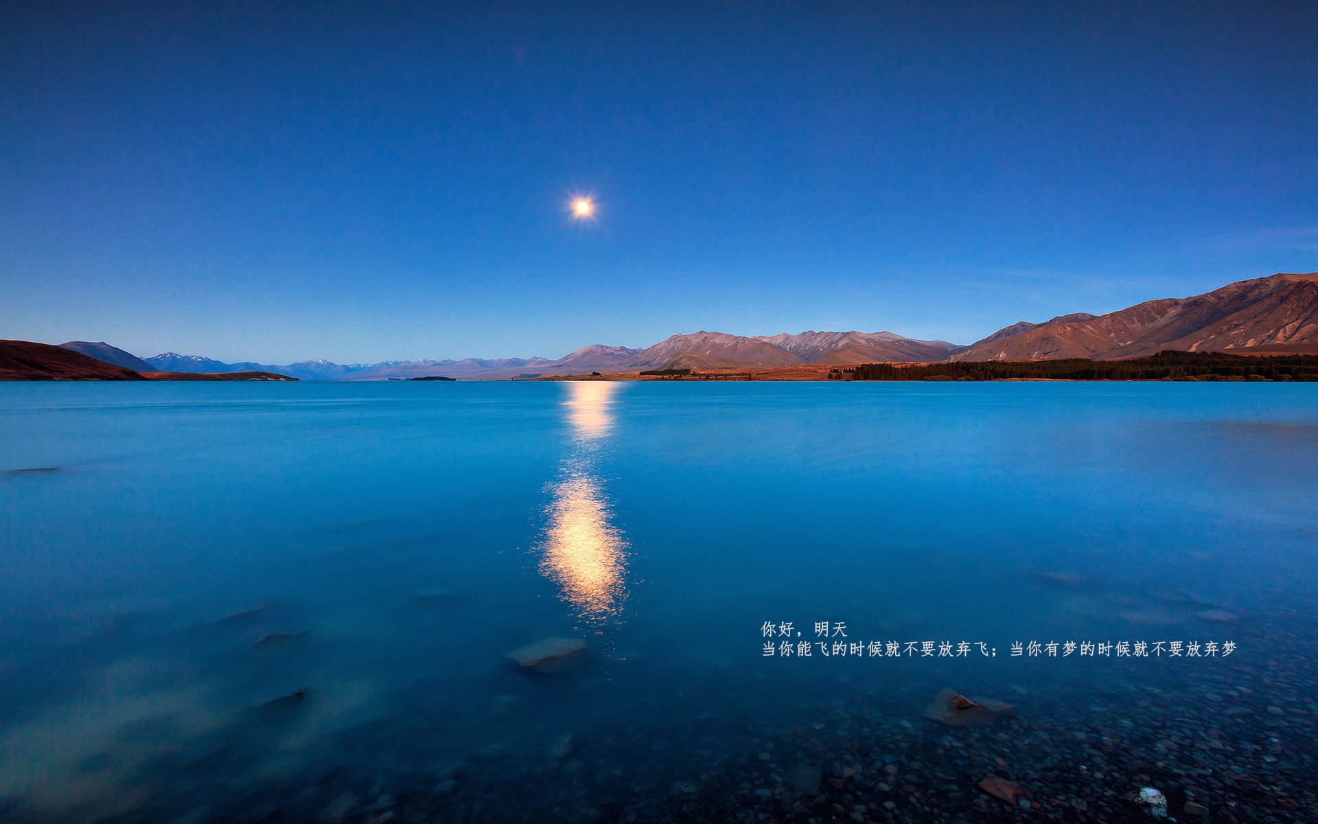女子篮球青训注重身体与技能结合促进成长,女子篮球队训练教案