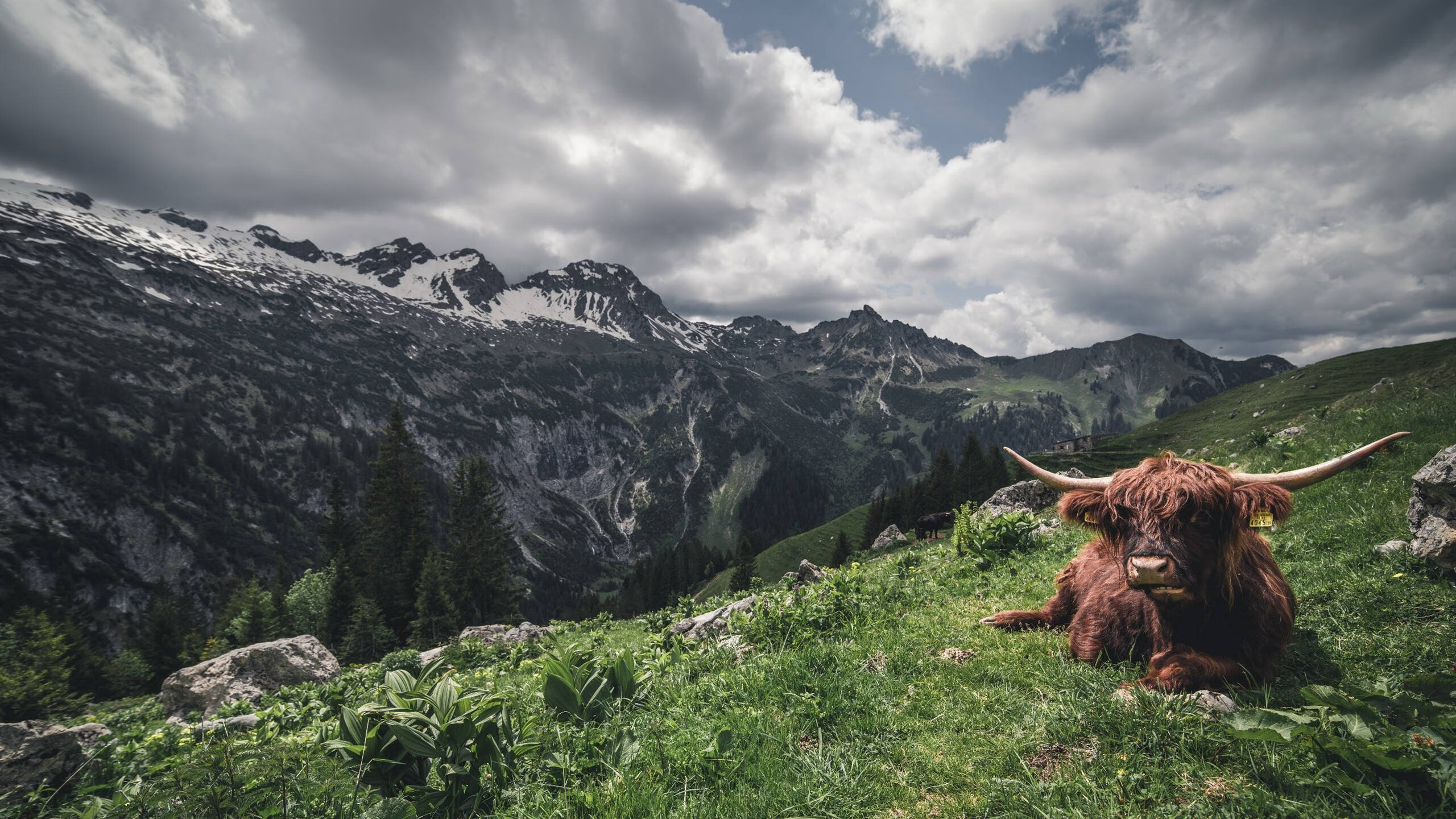 Kaiyun APP-詹姆斯赛季新高引爆全场，詹姆斯个人赛季新高